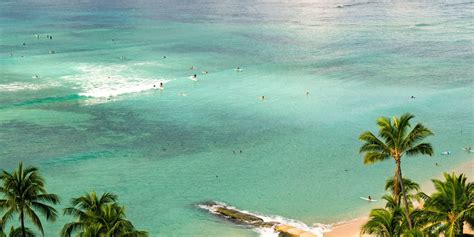 8 billion trees legit|A Free Vacation by Becoming a Member and Having Trees .